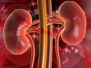Insuficiencia renal