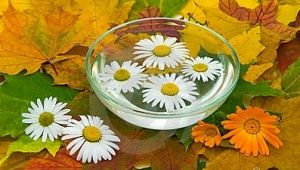 calendula y manzanilla